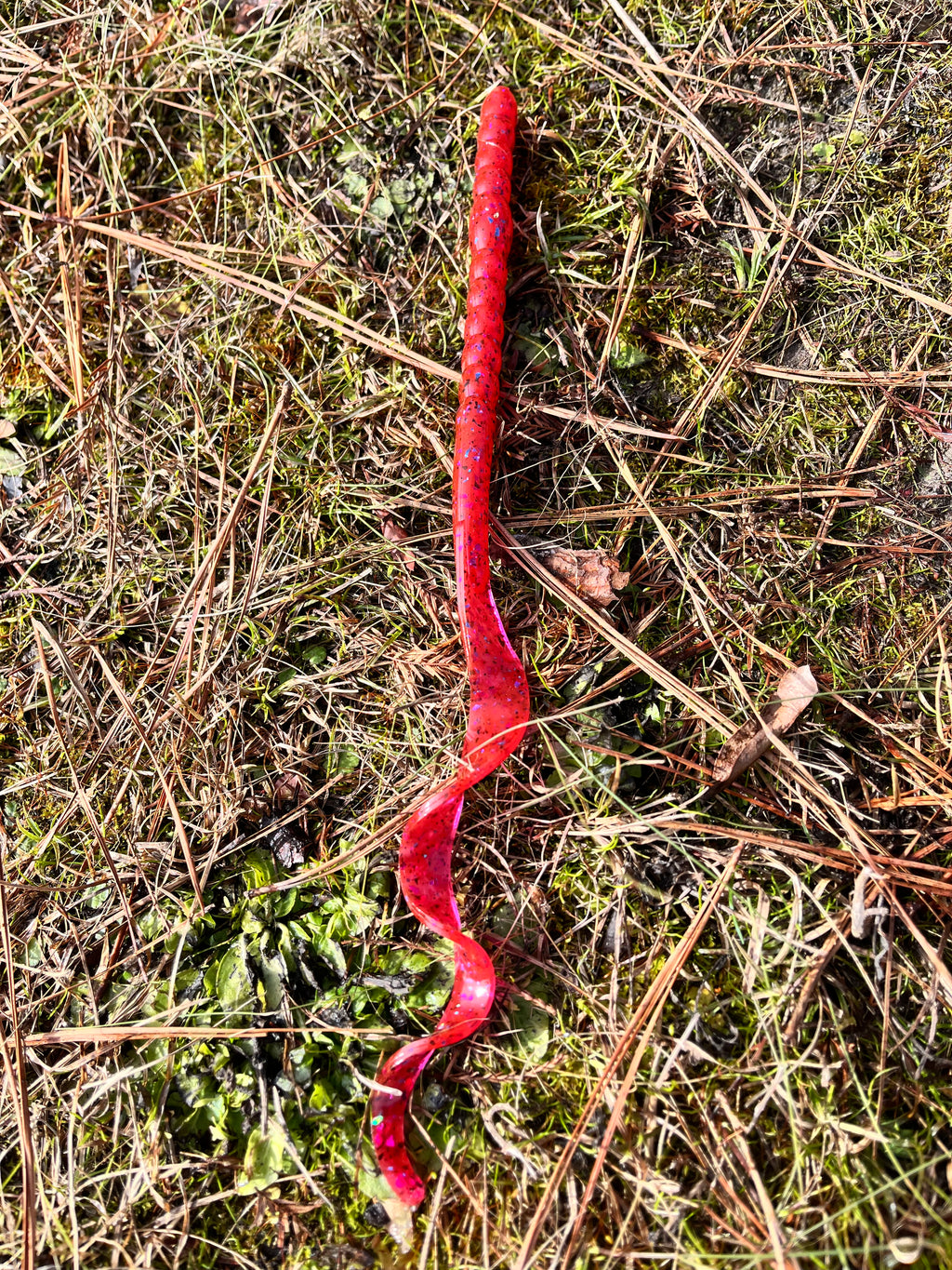 13" Legend Worm (pack of 6)