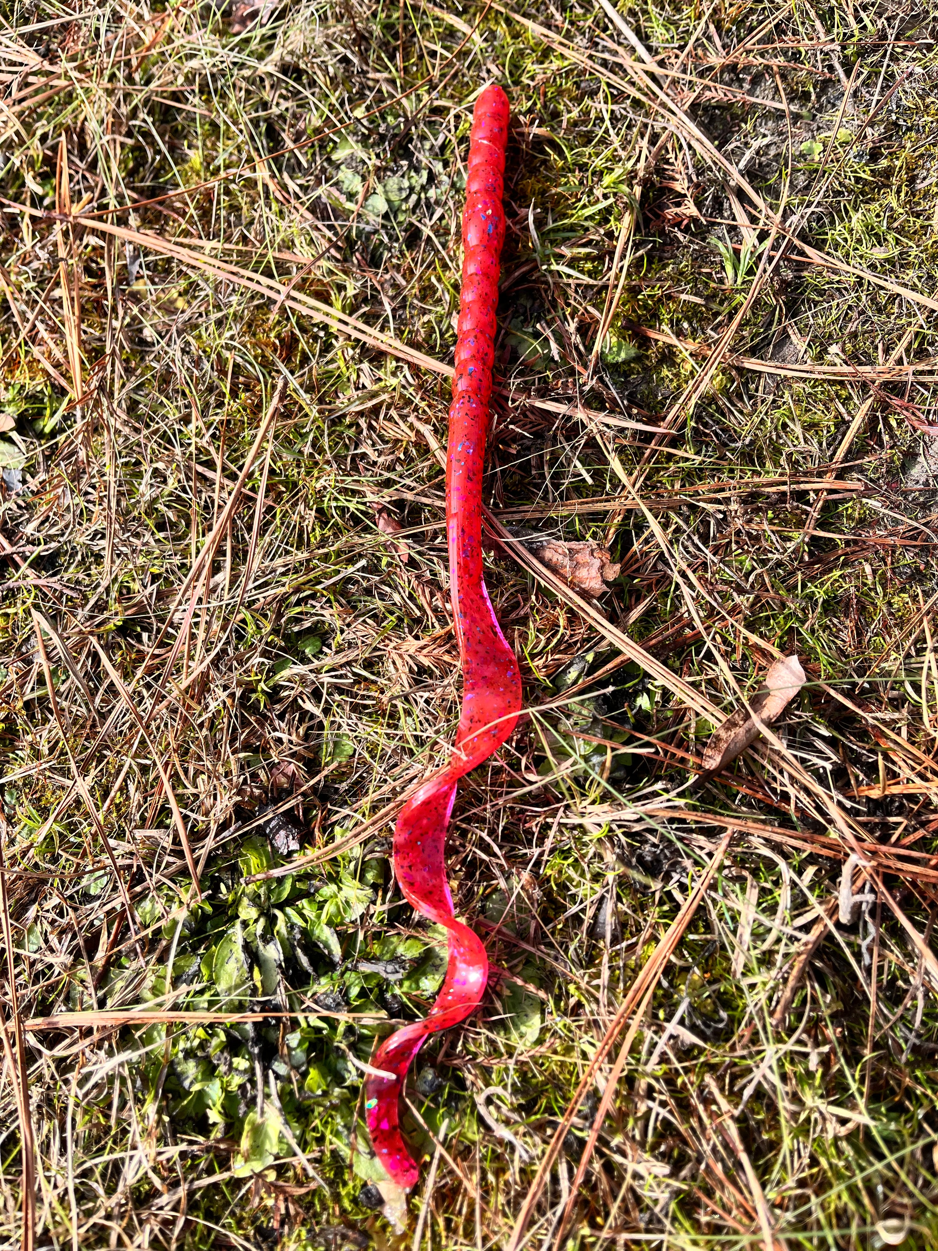 13" Legend Worm (pack of 6)