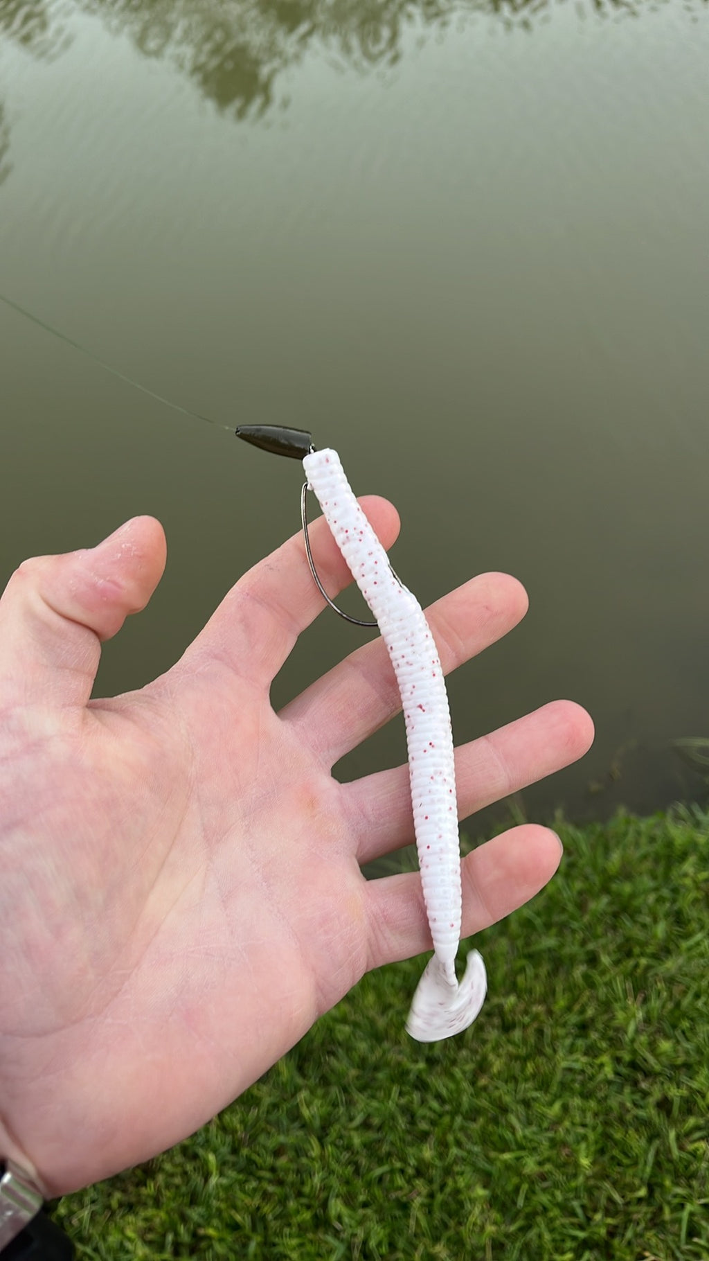 7" MAG Worm (pack of 6)