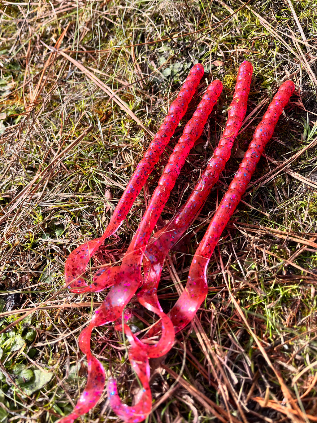 10" Legend Worm (pack of 8)