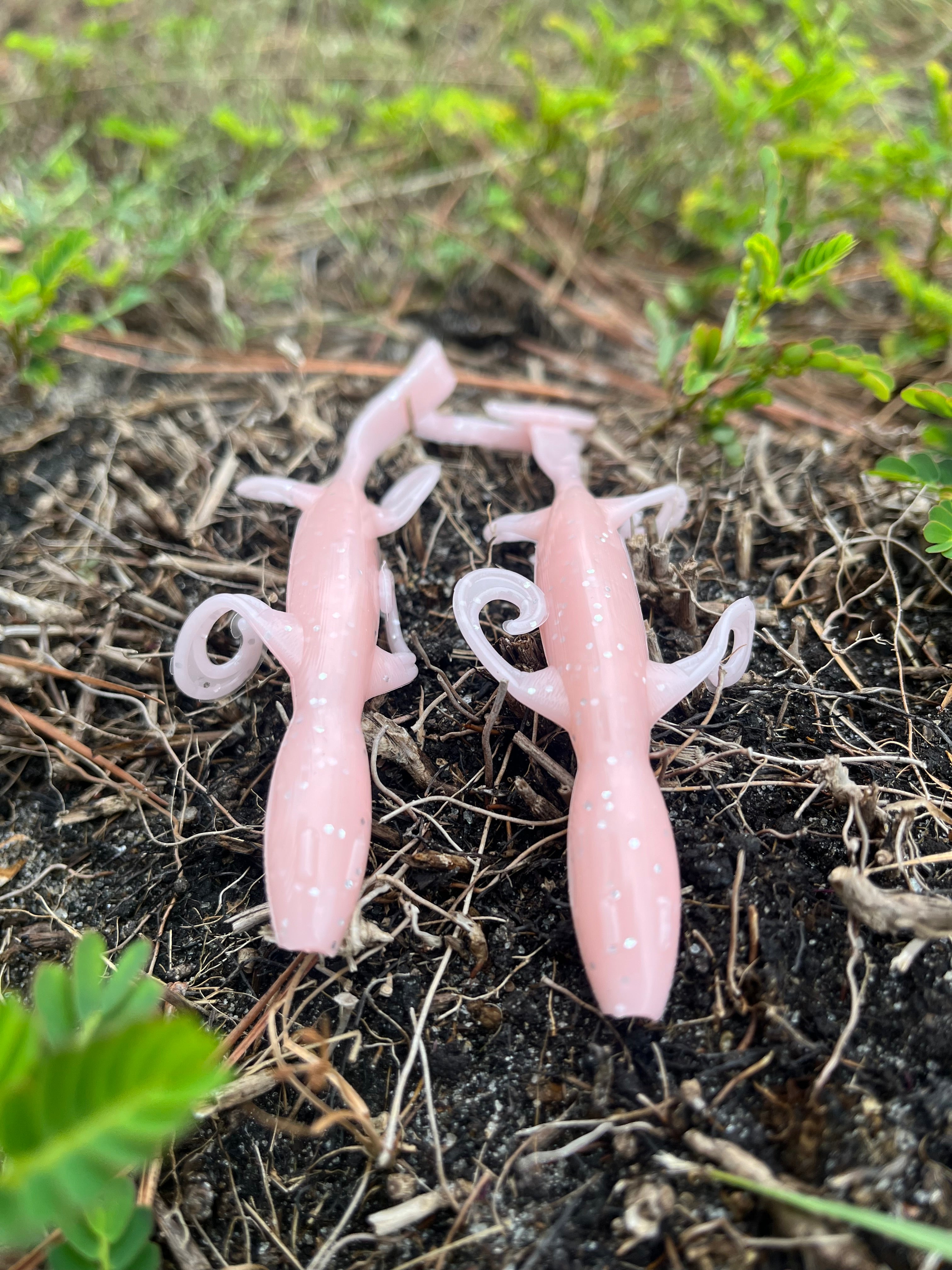 6" Lizard Creature Bait (pack of 6)