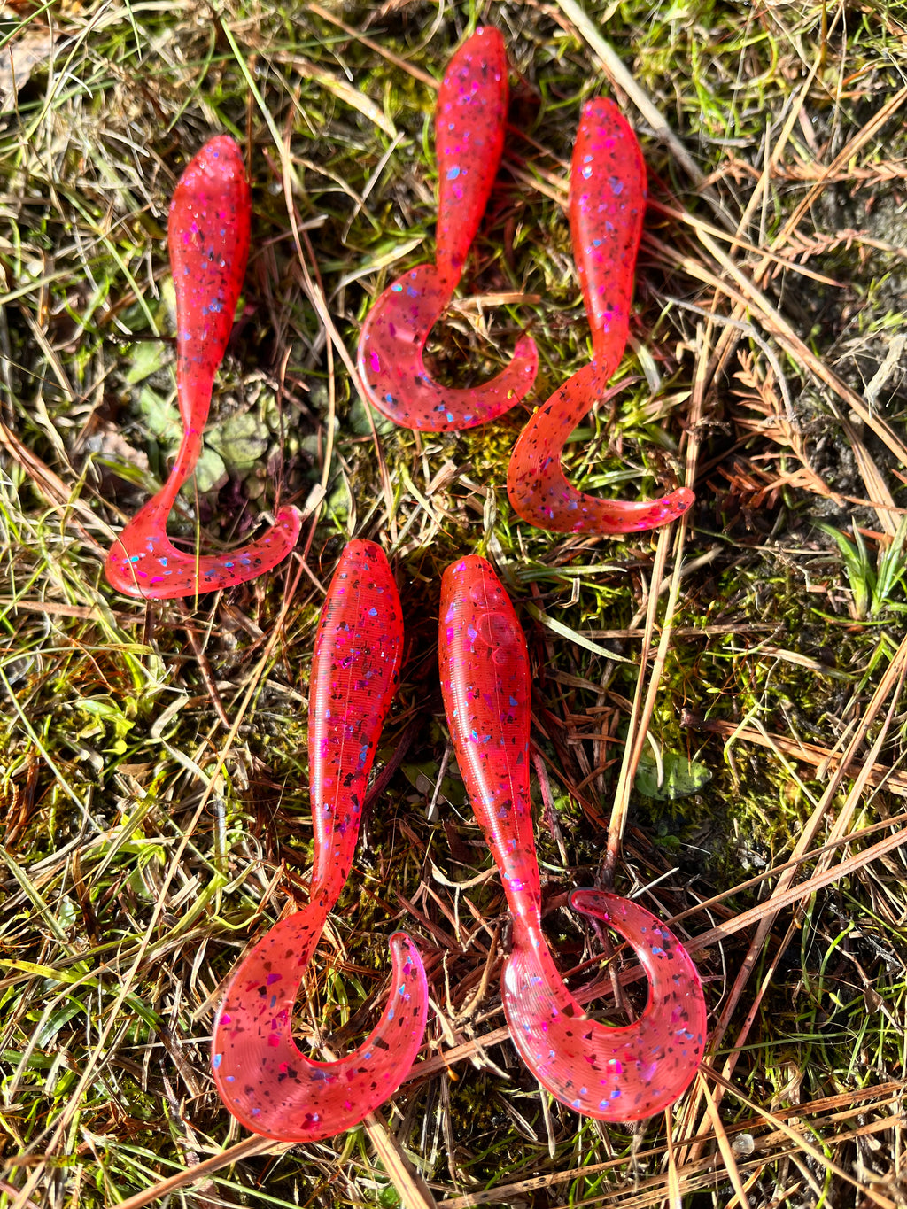 3.5" Swim Bait (pack of 12)