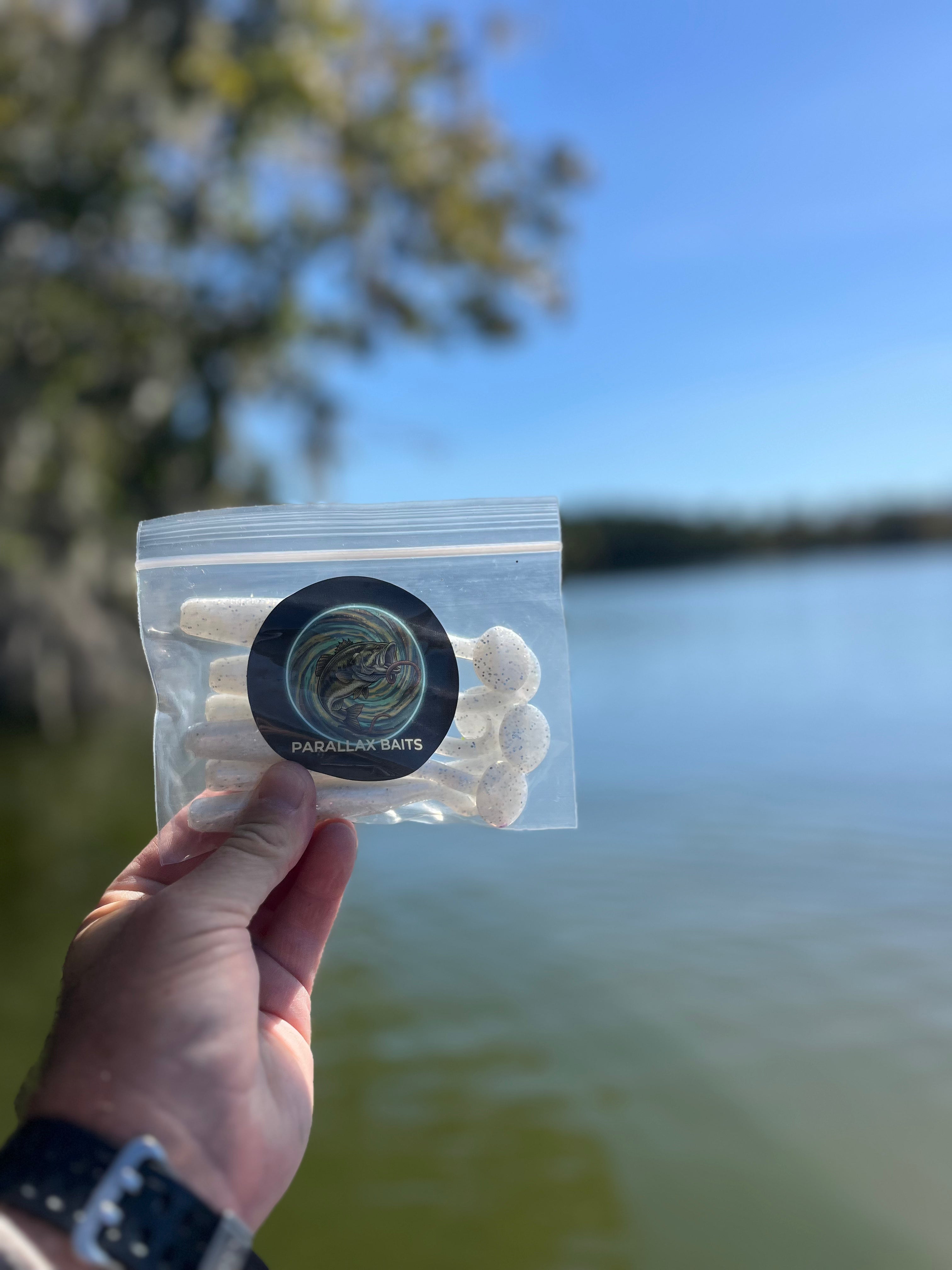 4.8” Shad Swim-bait (pack of 6)