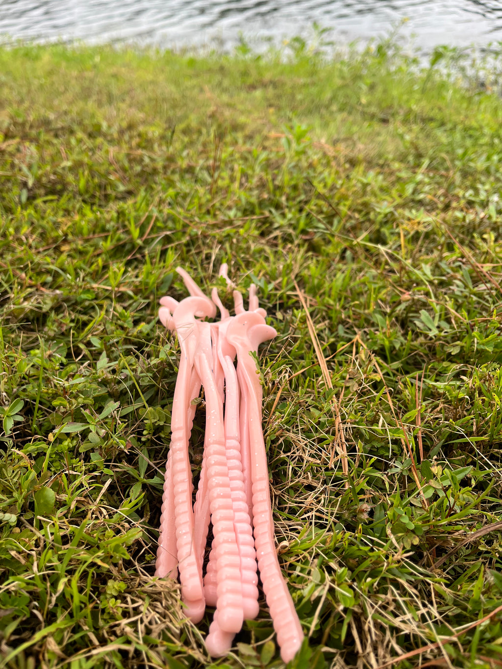 10" Ribbon Tail Worms (pack of 8)