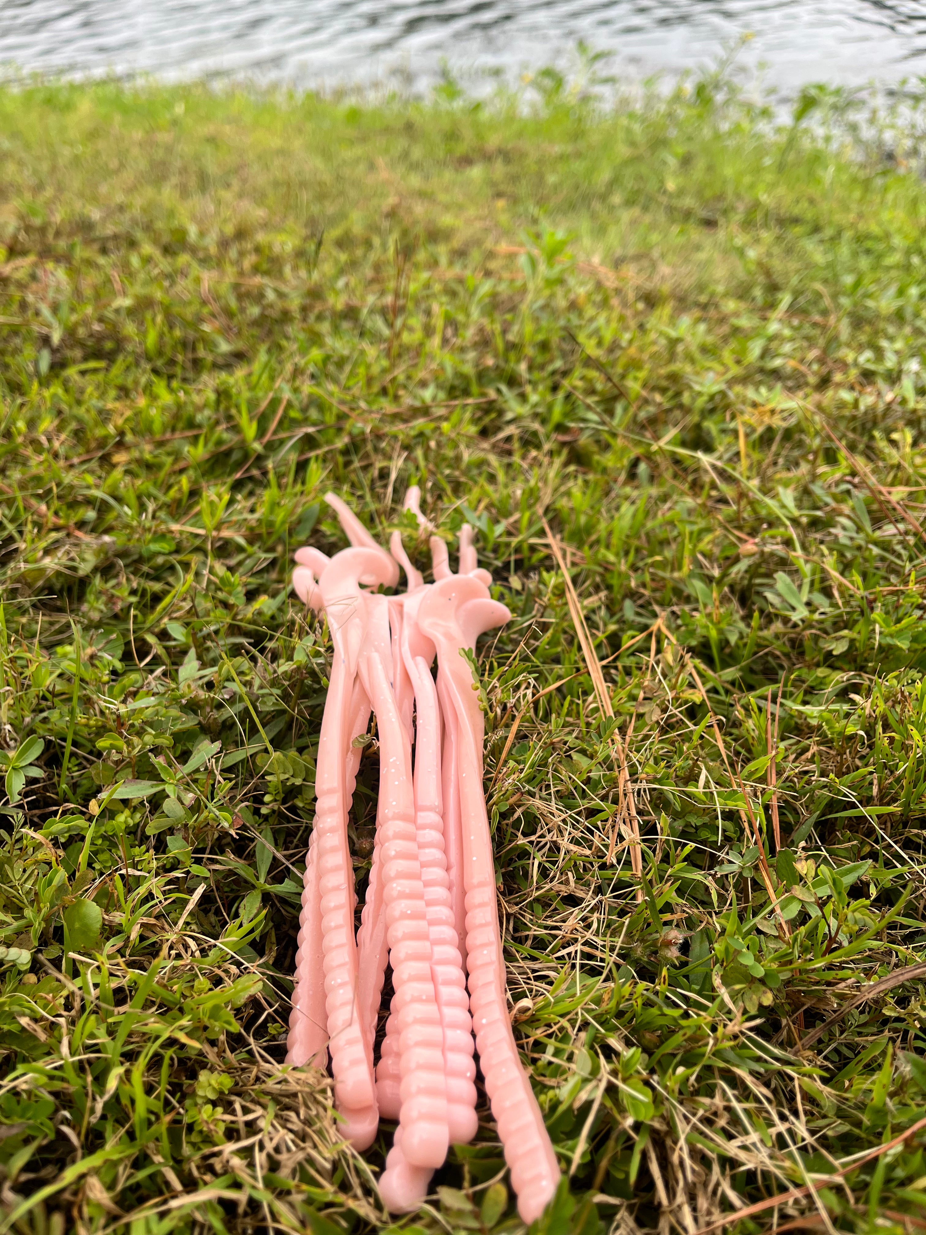 10" Ribbon Tail Worms (pack of 8)