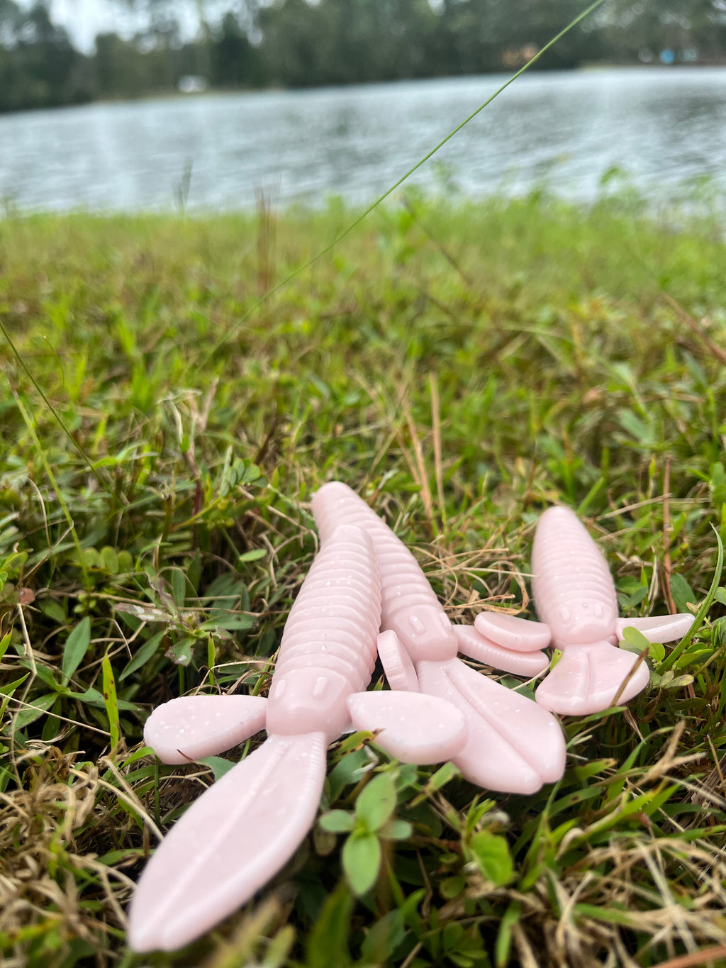 4.1" Ginger Ninja Creature bait (pack of 6)