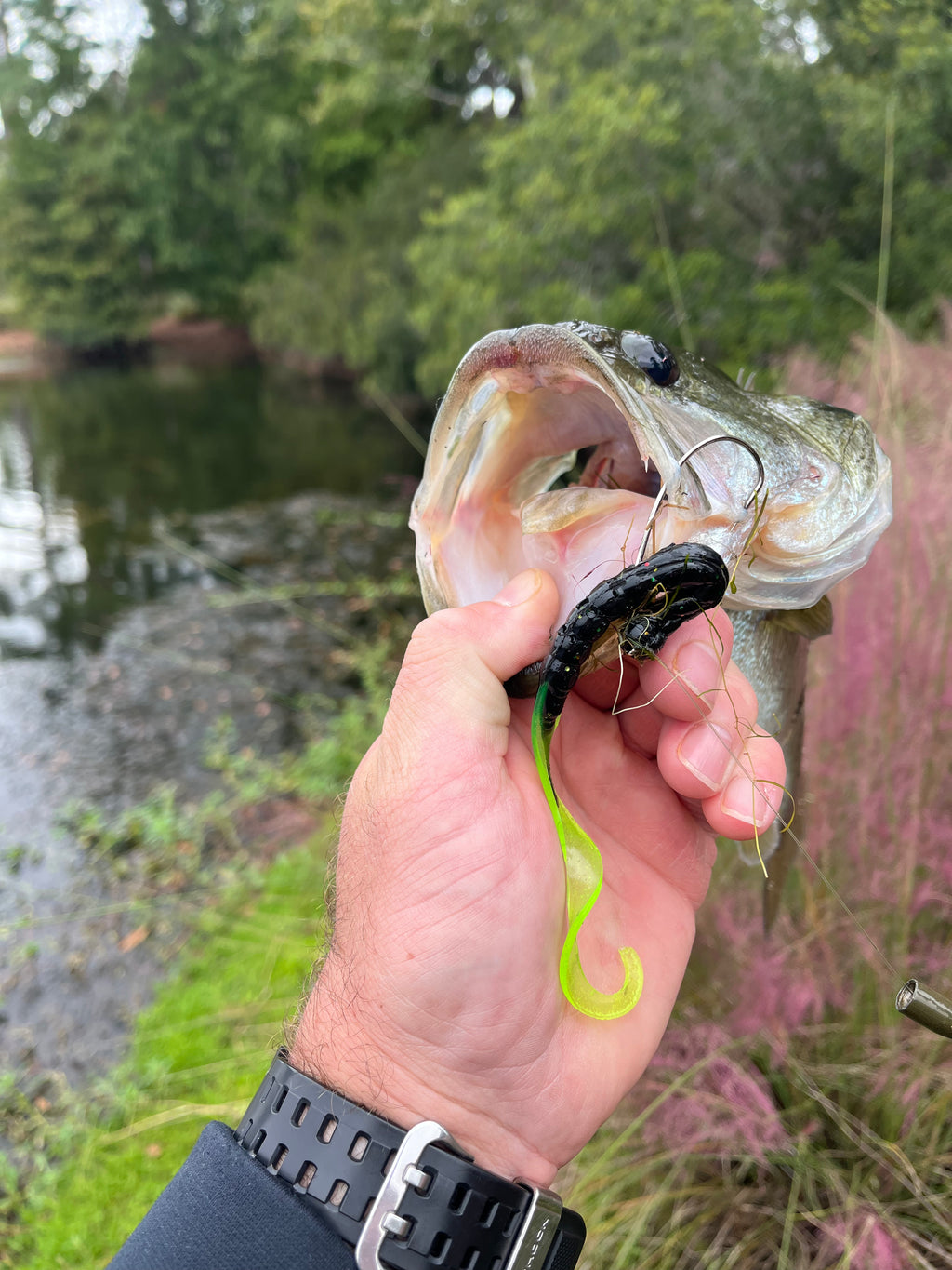 7.5" Legend Worm (pack of 12)