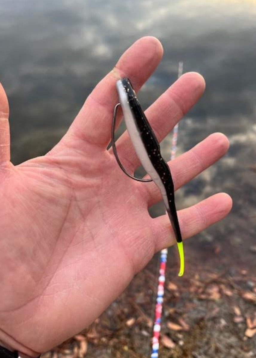 5" Split Tail Shad (packs of 8)