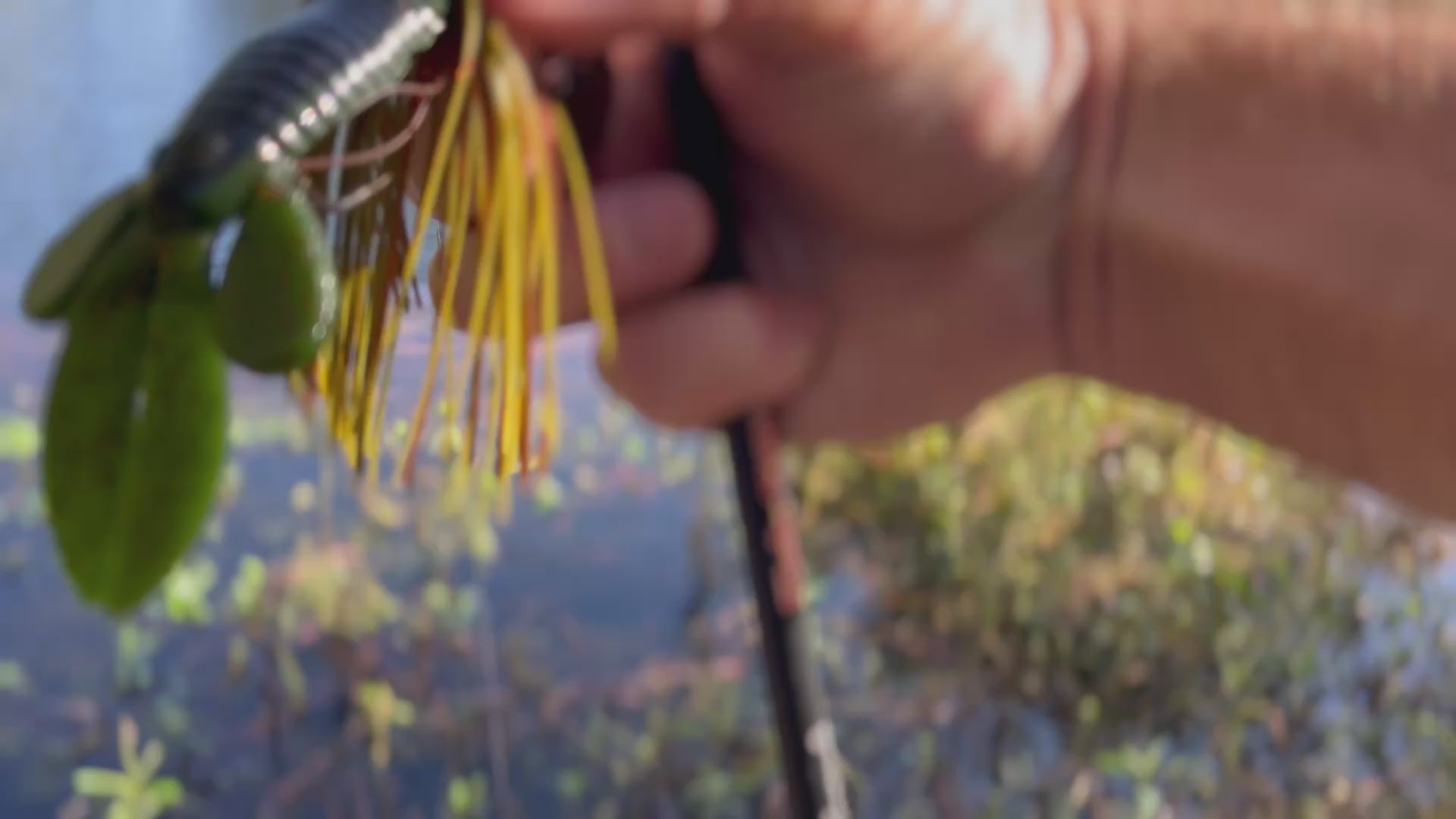 4.1" Ginger Ninja Creature bait (pack of 6)