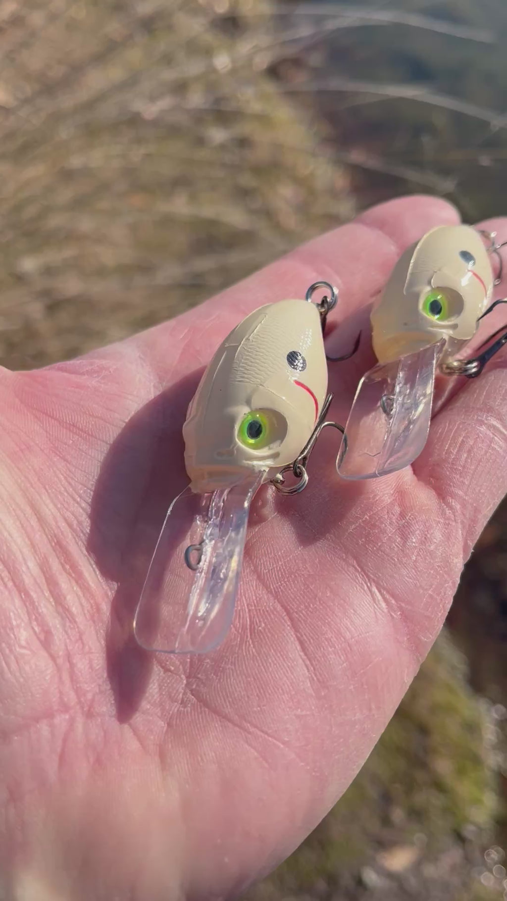 3” Crank Bait (medium diver)