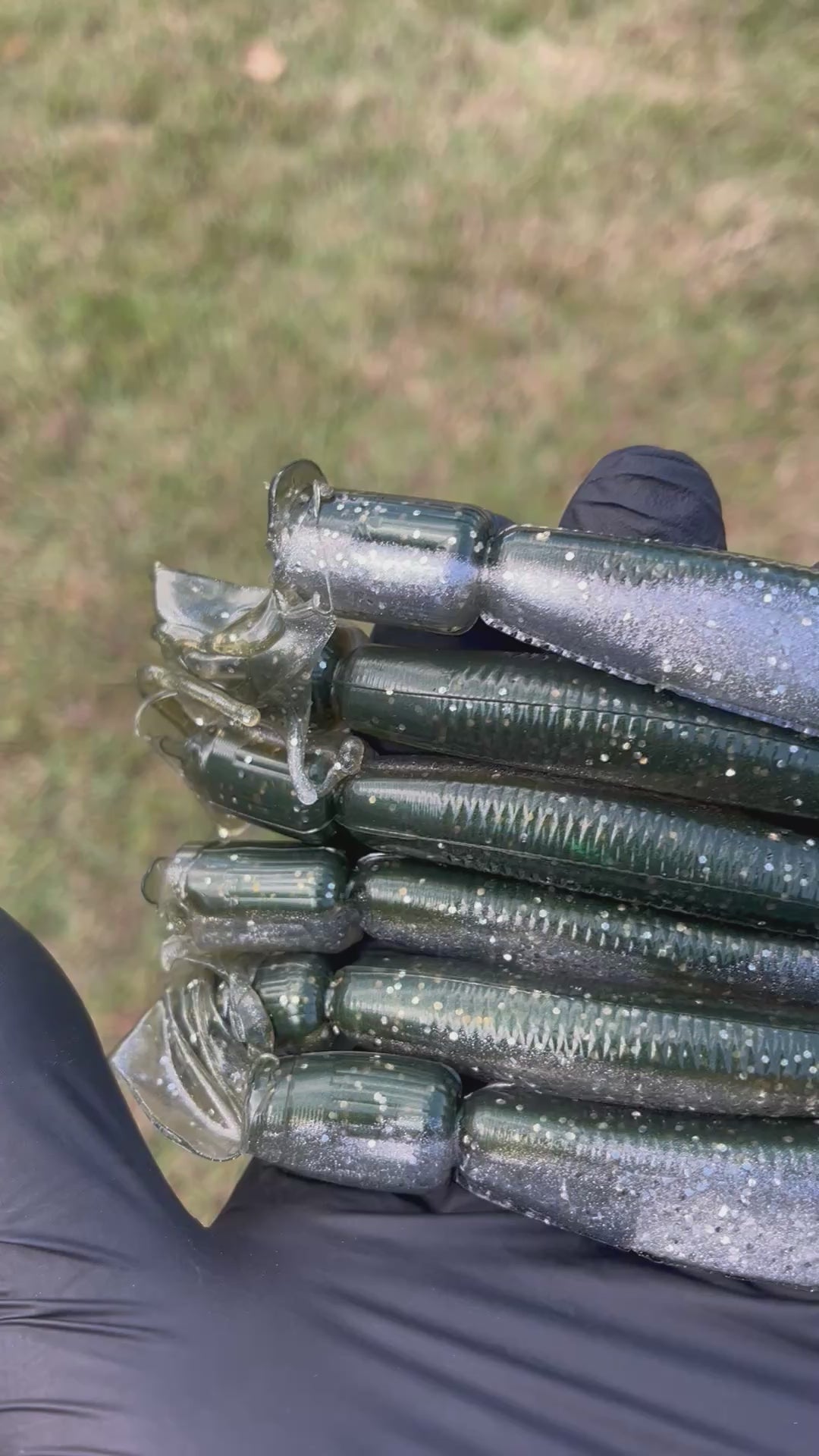 4.8” Shad Swim-bait (pack of 6)