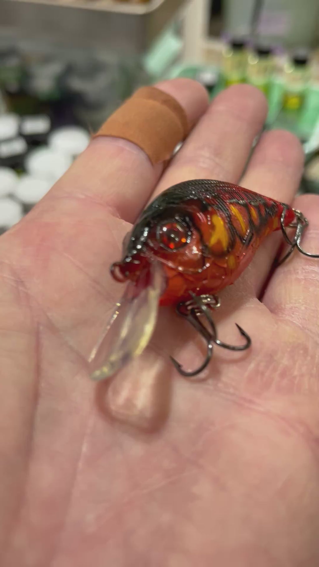 3" Crank Bait (Shallow Diver)