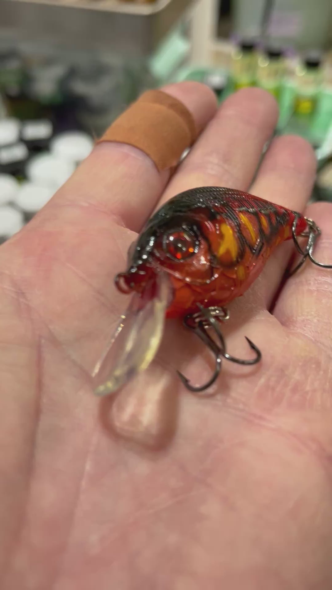 3" Crank Bait (Shallow Diver)